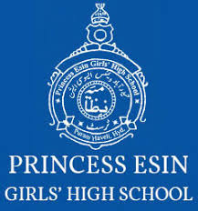 Princess Esin Girls' High School - Purani Haveli - Hyderabad Image