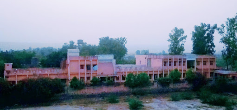 Sardar Gurmukh Singh Memorial School - Nuh Colony - Gurgaon Image