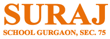 Suraj School - Sector 75 - Gurgaon Image