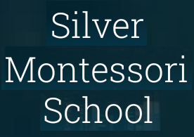 Silver Montessori School - Chauraha - Lucknow Image