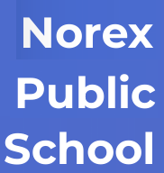 Norex Public School - Indira Nagar - Lucknow Image