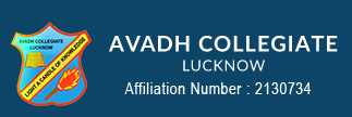 Avadh Collegiate - Kanpur Road - Lucknow Image