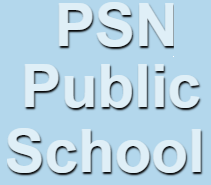 PSN Public School - Sector F - Lucknow Image