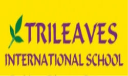 Trileaves International School - Madambakkam - Chennai Image