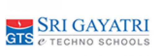 Sri Gayatri E Techno School - Manikonda - Hyderabad Image