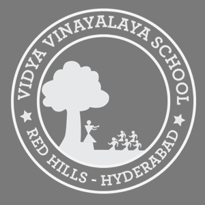 Vidya Vinayalaya School - Red Hills - Hyderabad Image