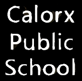 Calorx Public School - Ghatlodia - Ahmedabad Image