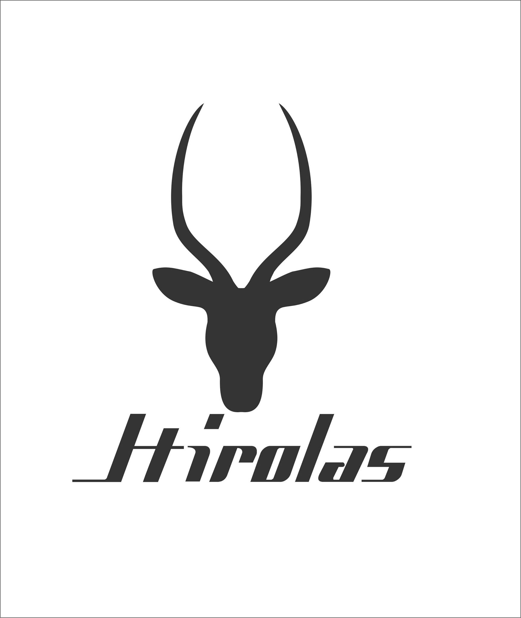 Hirolas Footwear Image