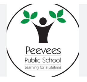 Peevees Public School - Exhibition Road - Patna Image