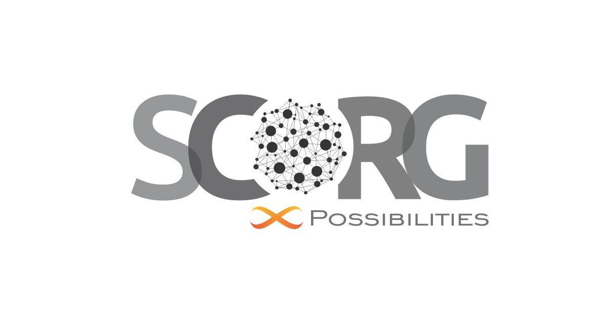 Scorg International Consulting Image