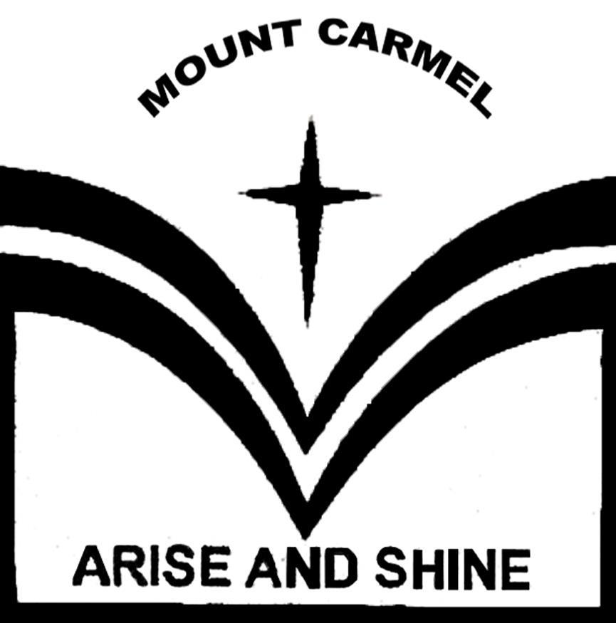 Mount Carmel Higher Secondary School - Khatipura Road - Indore Image