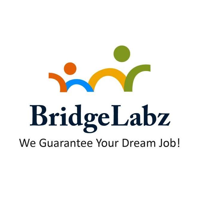 BridgeLabz Solutions Image