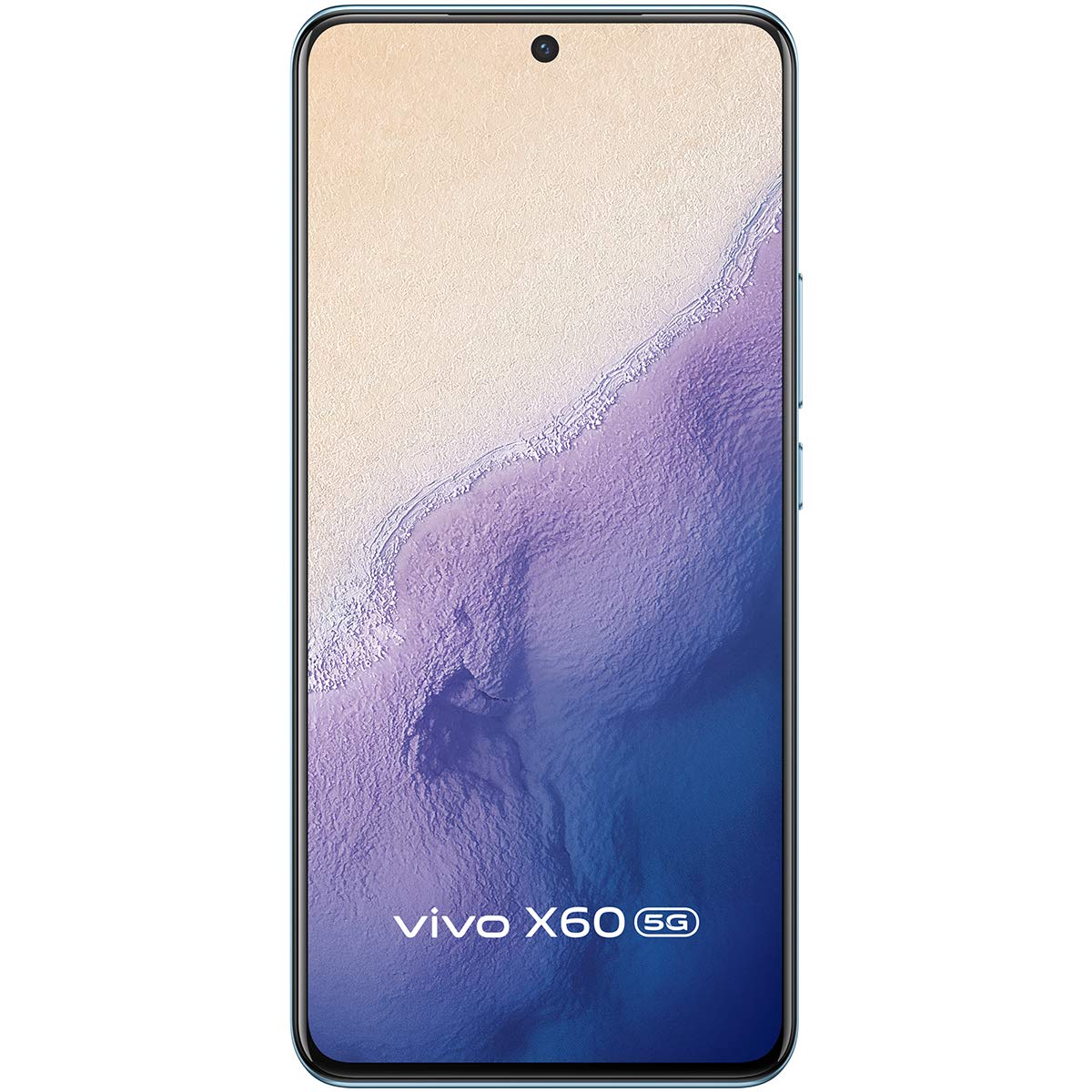 Vivo X60 Image