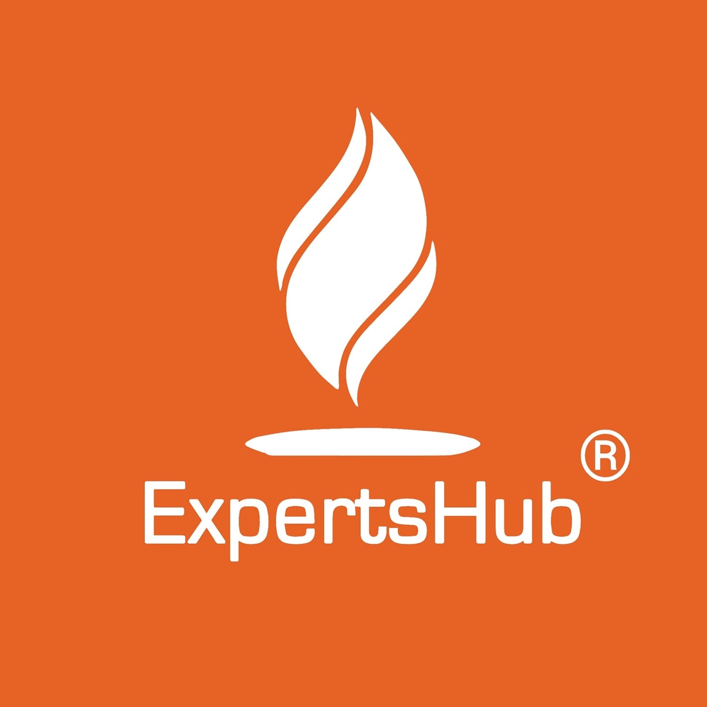 Expertshub Image