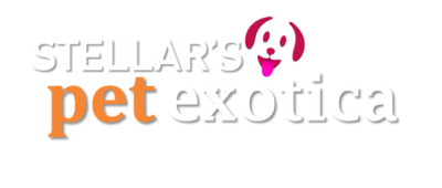 Stellars Pet Exotica - Satbari Image