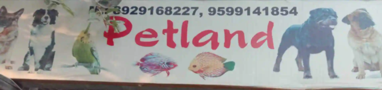 Pet Land Pet Shop - Sector 41 Image