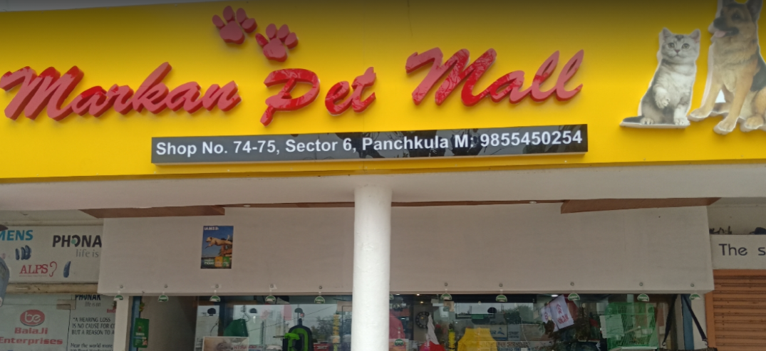 Markan Pet Mall - Sector 6 Image