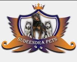 Sudeendra Pets - Vijaynagar Image