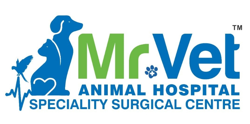 Mr Vet Animal Hospital - Gachibowli Image