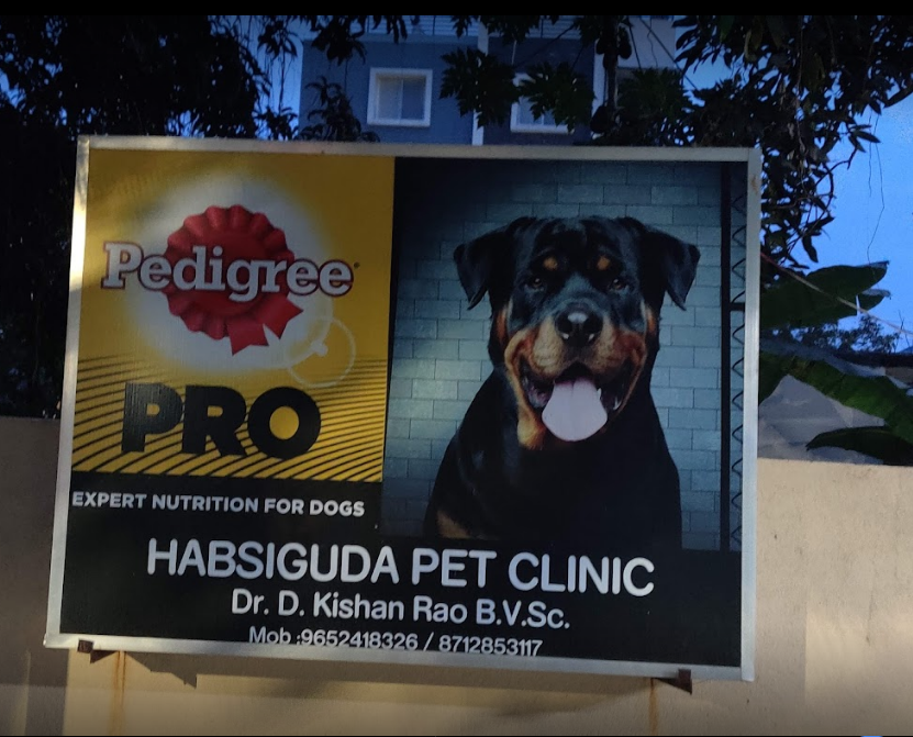 Habsiguda Pets Clinic - Laxmi Nagar Image