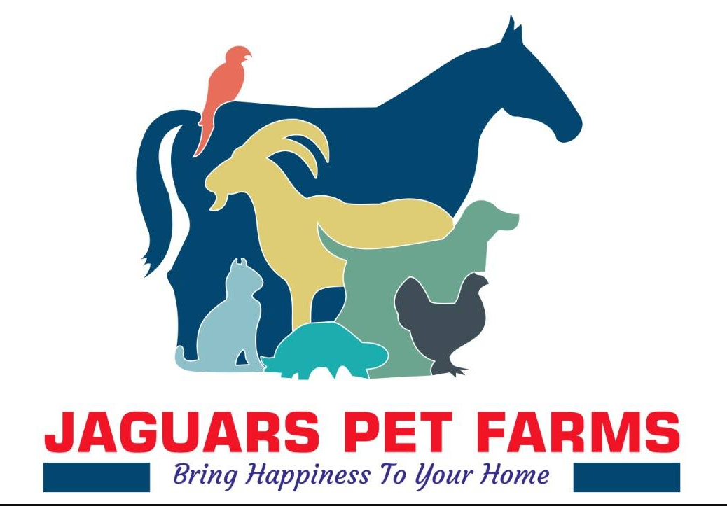 Jaguars Pet Farms - Mira Road Image