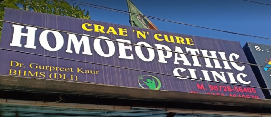 Suraj Homoeo Pharmacy - Ghumar Mandi Image