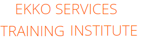 Ekko Services Training Institute Image