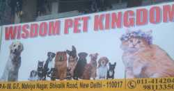 Wisdom Pet Kingdom - Malviya Nagar - Delhi Image