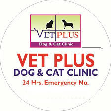 Vet Plus Dog And CAT Clinic - Gujranwala Town - Delhi Image