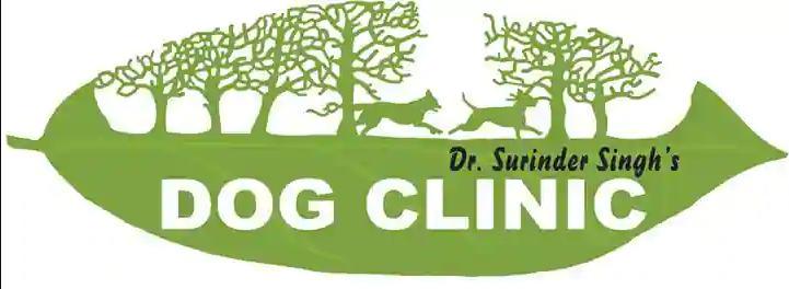 Dr. Surender Singhs Dog Clinic - Vijay Nagar - Delhi Image