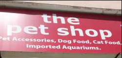 The Pet Shop - Lajpat Nagar 2 - Delhi Image