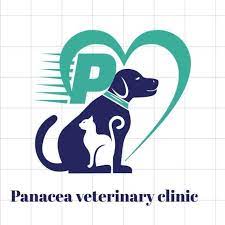 Panacea Veterinary Clinic - Main Road - Noida Image