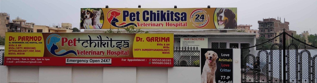 Pet Chikitsa Veterinary Hospital - Sector 46 - Gurugram Image