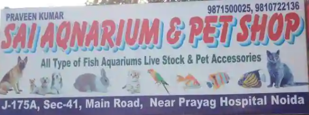 Sai Aquarium & All Pet Facilities - Sector 41 - Noida Image