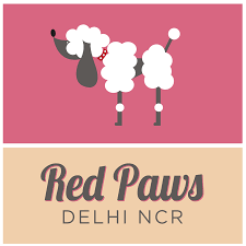 Red Paws - Hauzkhas - Delhi Image