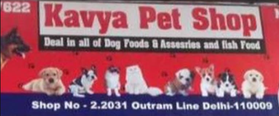 A One Kavya Pet Shop - Kingsway Camp - Delhi Image