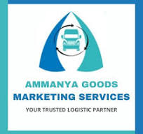 Ammanya Goods Marketing Services Pvt Ltd - Mahipalpur, Delhi Image