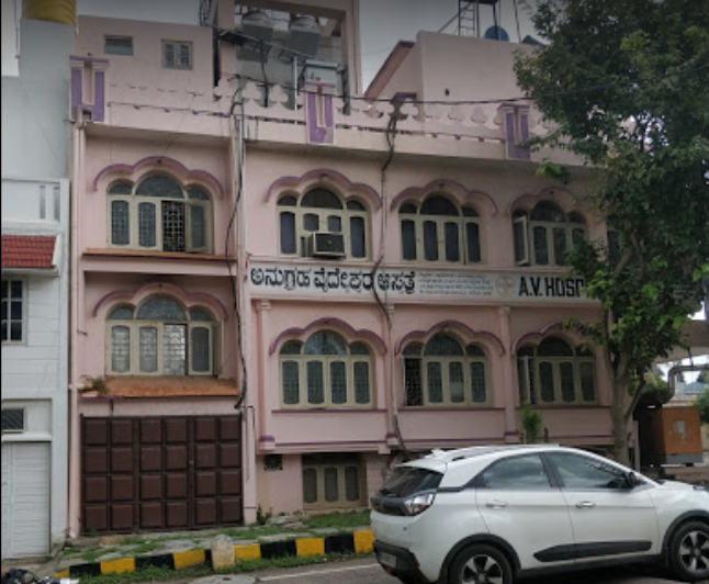 A V Hospital - Siddharthanagar - Mysore Image