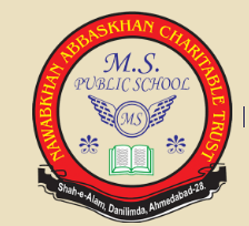 M S Public School - Shah Alam - Ahmedabad Image