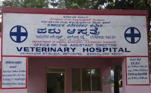 Government Veterinary Hospital - Jayanagar - Bangalore Image