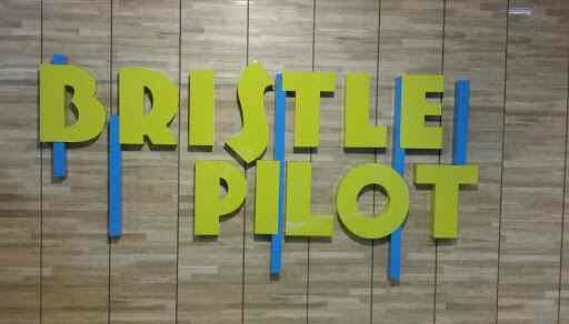 Bristle Pilot - Rajpura Road - Patiala Image