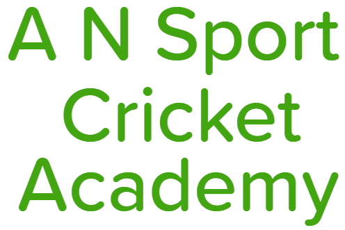 A N Sport Cricket Academy - Bhajanpura - Delhi Image