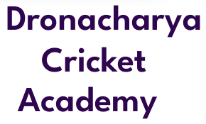 Dronacharya Cricket Academy - Vivek Vihar - Delhi Image