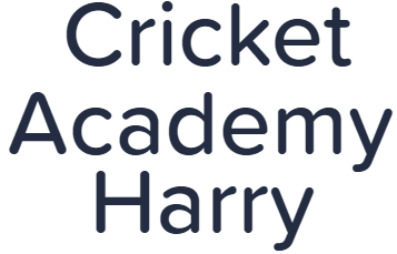 Cricket Academy Harry - Pitampura - Delhi Image