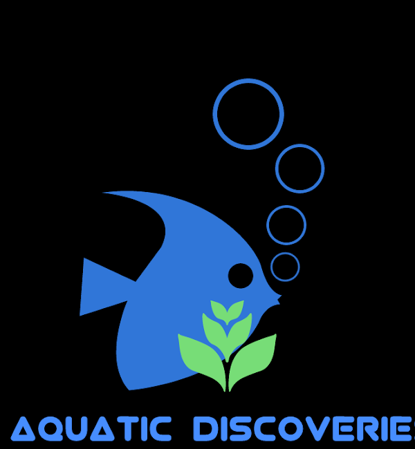 Aquatic Discoveries Aqua Pet Shop - Banashankari - Bengaluru Image