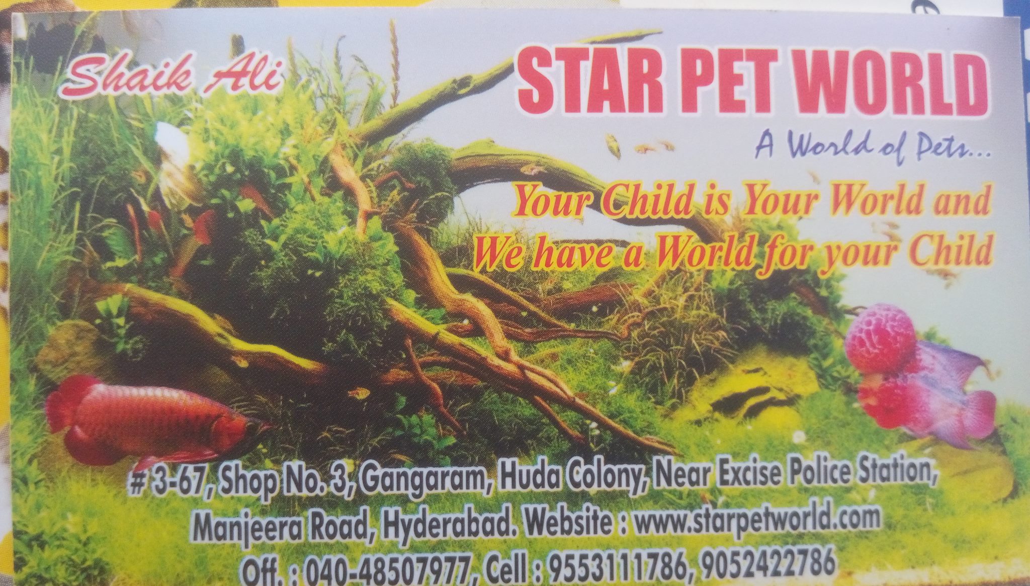 Star Pet World - Chanda Nagar - Hyderabad Image