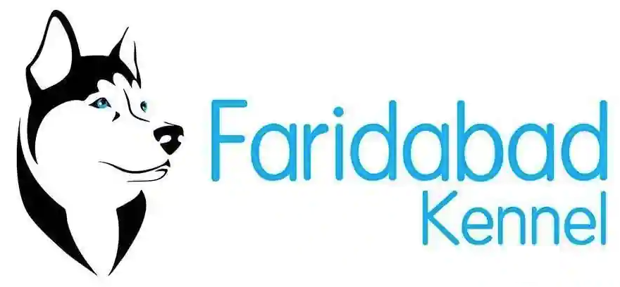 Faridabad Kennel And Pet Boarding - Sector 31 - Faridabad Image