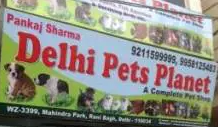 International Pet Planet A Complete Pet Shop - Rani Bagh - Delhi Image