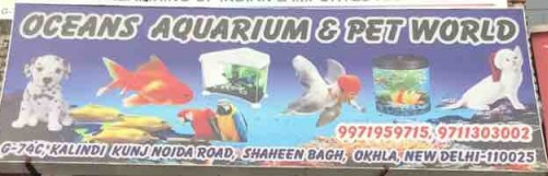 Oceans Aquarium & Pet World - Jamia Nagar - Delhi Image