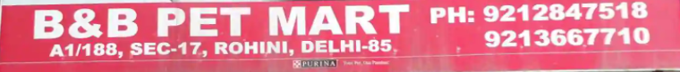 B & B Pet Mart - Rohini - Delhi Image